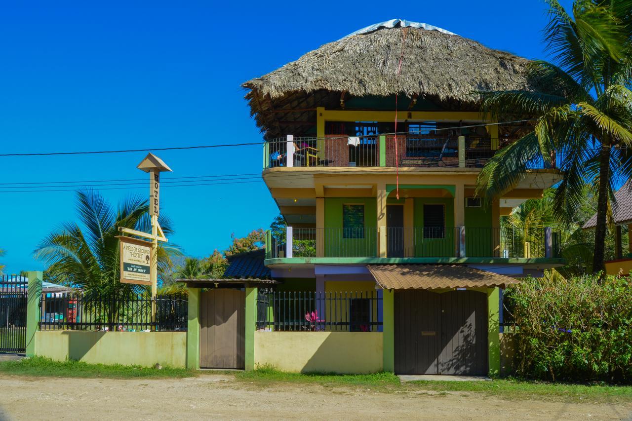 A Piece Of Ground Hostel Punta Gorda Εξωτερικό φωτογραφία